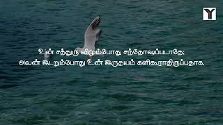 தினசரி மனப்பாட வசனம் | நீதிமொழிகள் 24:17 / Proverbs 24:17