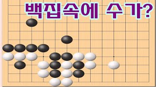 바둑사활 - 쉽게 생각했다가는 낭패 [바둑수내기]