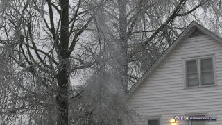 Caught on Camera: Ice storm constantly breaks large tree branches in Perryville, Missouri
