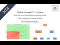 Class 19 Machine Learning  Decision Trees in Python