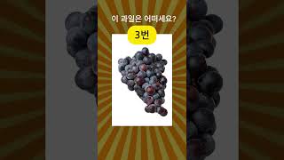 과일을 골라보세요? 과일로 보는 내 #성격테스트