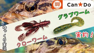 【100均】Can☆Do(キャンドゥ)釣具・グラブ＆ホッグワームで釣り【ゆっくり実況】