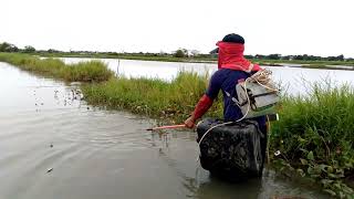 EP.28 Electric fishing sulit may pang ulam na naman Kami at naka pamigay nanaman po🐟🌾