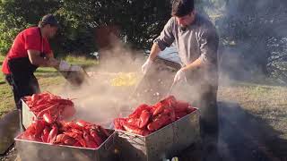 How to do a Maine Lobster Bake.