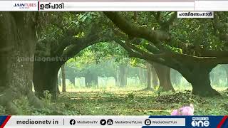 മാമ്പഴമാണ് ബംഗാളുകാരുടെ പ്രധാന വരുമാന സ്രോതസ്സിലൊന്ന്;എന്നാല്‍ അത്ര മധുരമുള്ളതല്ല  കര്‍ഷകരുടെ ജീവിതം