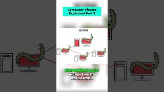 Understanding Computer Worms: How They Infect Networks