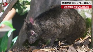 【速報】奄美の遺産センター開館へ 自然の価値や保全学ぶ拠点に