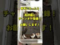 【大型カブト向け】タマゴ爆散！産卵セット方法を紹介！　 ヘラクレス飼育 昆虫飼育 タマゴ