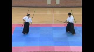 Aikido Demo - bokken vs. bo