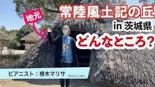 茨城県の観光地を紹介するよ！！常陸風土記の丘