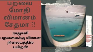 பறவையின் மீது மோதி விமானம் விபத்து : பறவைகளை விரட்ட நடவடிக்கை| Plane has damaged for bird| in4net |