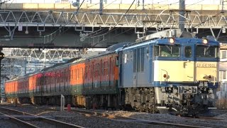 配9564レ 115系 4連 廃車回送 牽引EF64-1031 @与野沿線 2016.12.19