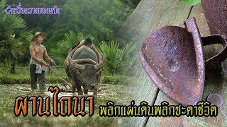 🎬EP22: ผานไถนา พลิกแผ่นดินพลิกชะตาชีวิต