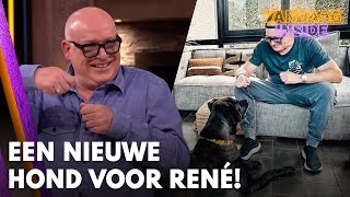 René heeft reusachtige nieuwe hond: 'Ik sta tegenwoordig staand te eten!' | VANDAAG INSIDE