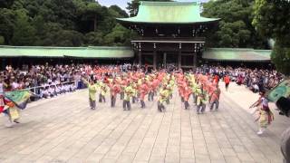 ほにや・奉納演舞＠2014　原宿スーパーよさこい