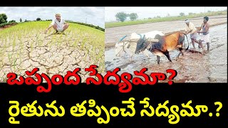 Contract farming in India || ఒప్పంద సేద్యమా? రైతును తప్పించే సేద్యమా.?