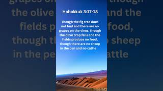 Habakkuk 3:17-18 #christianmotivation #inspiration #jesus #shortvideo