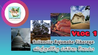 කොළඹ නගරයට ආසන්නයේ පිහිටි ප්‍රසිද්ධ පූජා භූමියක් වැද පුදා ගන්න ගිය ගමන.. |Travel Vlog🌍 🇱🇰 | Vlog 1