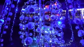 ONE-LINE 2014 気仙沼クリスマスイルミネーション Kesennuma Xmas Illumination