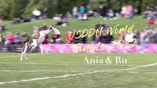 飞盘狗：主人扔的飞盘我怎么样都要捡到！USDDN World Finals 2022