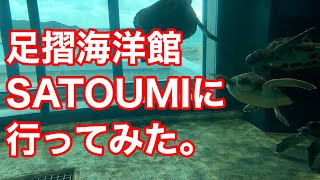 #219 【大洲市議会議員】中野ひろし 足摺海洋館SATOUMIに行ってみた。