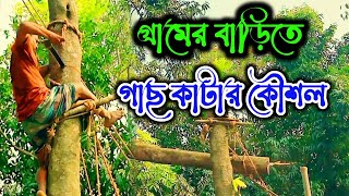 Tree cutting techniques | গাছ কাটার কৌশল।  গ্রাম বাংলার মানুষ