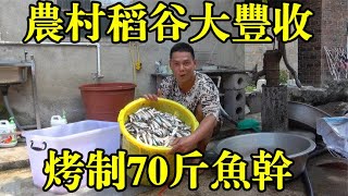 农村阿琪太牛了，刚收完稻谷又要处理烤制70多斤野游鱼，今天累坏了【农村阿琪】