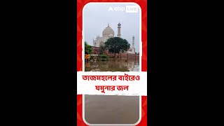 উত্তর ভারতে টানা বৃষ্টিতে উঠেছে জলস্তর, তাজমহলের বাইরেও যমুনার জল