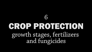 Rotationally Raised - Crop Protection: Growth Stages, Fertilizers and Fungicides