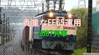 JR貨物 2022/04/03 貴重なEF65運用は日中1本 今日の5087レ EF65-2070[新]牽引