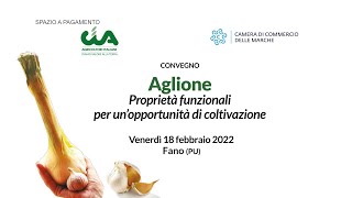 Aglione,  proprietà funzionali per un'opportunità di coltivazione