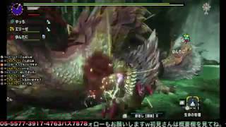 【MHXXNS】switch版 モンハンダブルクロスHR８から 参加OK  最初に入った人から貼ってね【実況なし】＃１１２