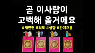 [타로카드/연애운] 나에게 고백해 올 새로운 연인은 어떤 사람일까?💓