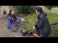 How to Create Pollinator Habitat | Urban Conservation