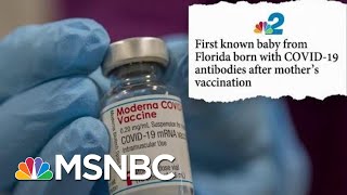 Woman Gives Birth To First Known Baby With Antibodies | Katy Tur | MSNBC