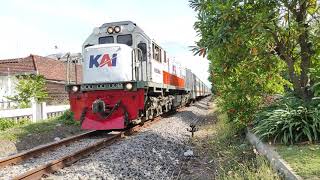 RAMAHNYA MASINIS KA DHOHO LEWAT DI STASIUN TULUNGAGUNG