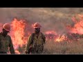 2020 Wildland Firefighters BadAsh