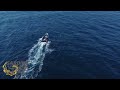 Sardine Run in 4 Days