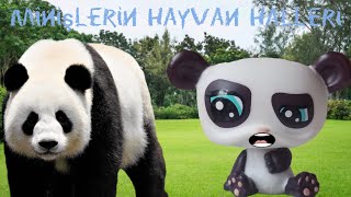 MİNİŞLERİN HAYVAN HALLERİ!!! :0