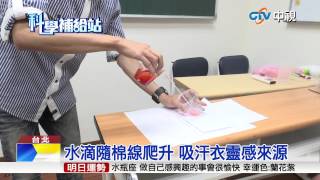 【中視新聞】揭密!沒有水管可吸水 全靠毛細現象 20150728