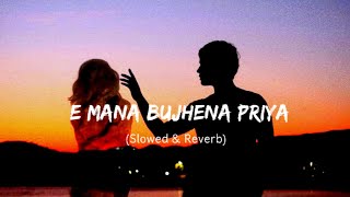 E Mana Bujhena Priya   ( Slowed & Reverb )