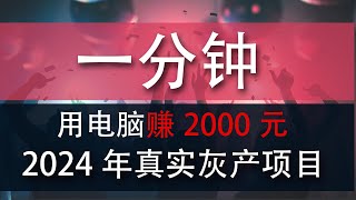 灰产项目 | 网络赚钱 | 网赚 毫无风险，教你五分钟就可以赚到3000。灰产跑分跑货真实演示（真实测试网站）