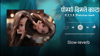 🤗😍Porgi Kata Lyrical Video | dj_S_R_Rimix | New Marathi Song 2024😍🤗