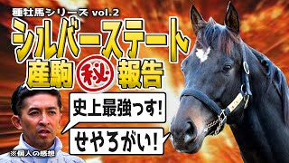 【種牡馬考察】シルバーステート産駒は内回りで狙え！重賞未勝利でも種牡馬として偉大！？寒いのは苦手かも…。※3分で見るには再生スピードの調整が必要です