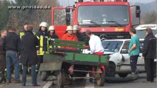 07.11.11 - Leimen L 594 - Führerloses Pferdegespann kollidiert mit Auto