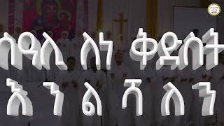 ምዕመናንን ግሩም የስባለ ''ሰዓሊ ቅድስት እንልሻለን'' የሕብረት ዝማሬ #ethiopian #ortodoxo #mezmur