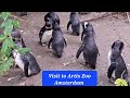 A day at Artis Zoo Amsterdam