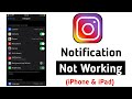 Fix Instagram Notifications Not Working in iPhone (2022)