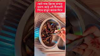 ফ্রিজে ছোট মাছ রাখার আগে ছোট্ট এই টিপসটি শিখে রাখুন কাজে দিবে