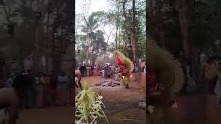 thottukarathottukara bhagavathi theyyam🔥   തോട്ടുംകര ഭഗവതി